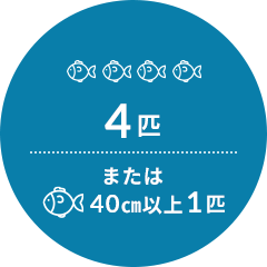 4匹