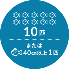 10匹