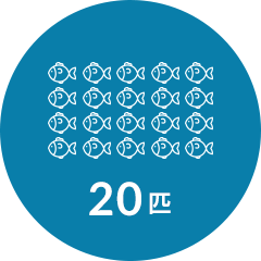 20匹